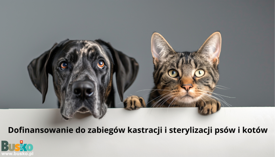 Dofinansowanie-do-zabiegow-kastracji-i-sterylizacji-psow-i-kotow