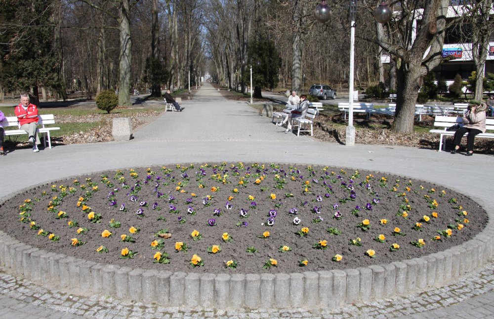Wiosenne nasadzenia