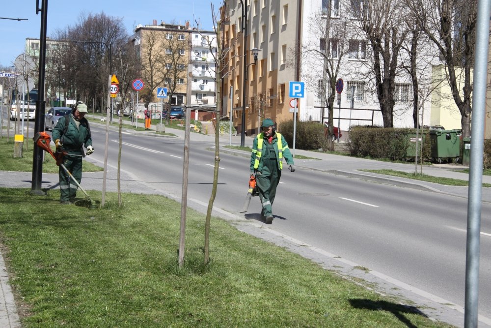 Sezon koszenia traw rozpoczęty!