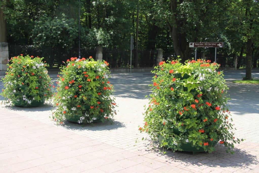 Ukwiecone Busko-Zdrój