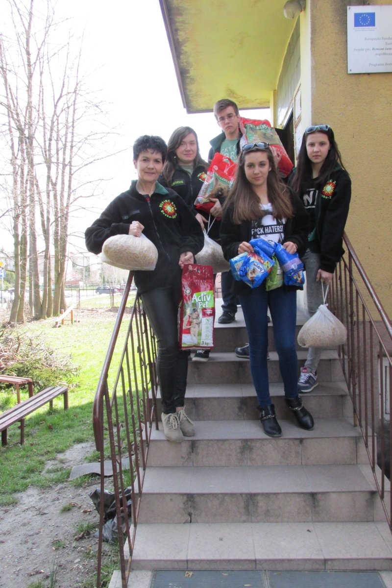 Nowy projekt buskich harcerzy