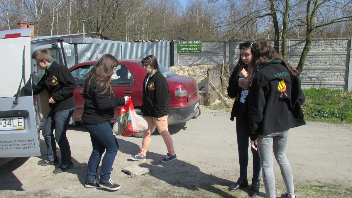 Nowy projekt buskich harcerzy
