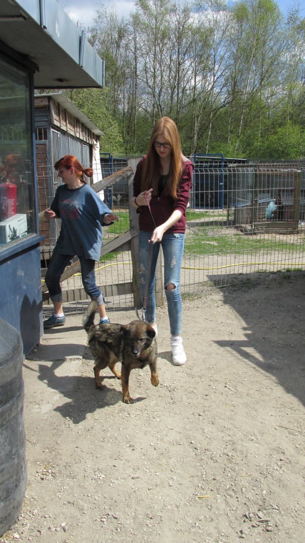 Nowy projekt buskich harcerzy