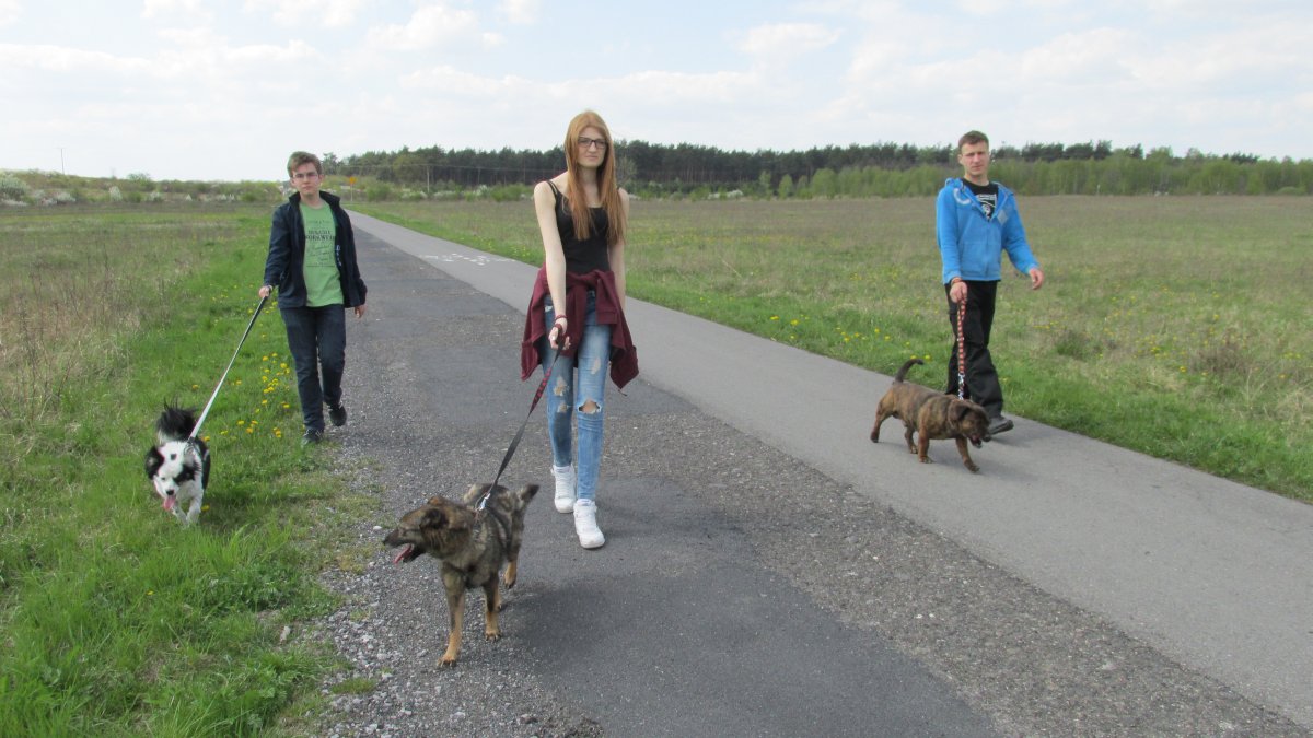 Nowy projekt buskich harcerzy