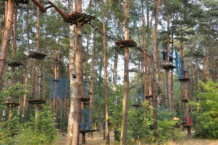 Park linowy w małpim gaju