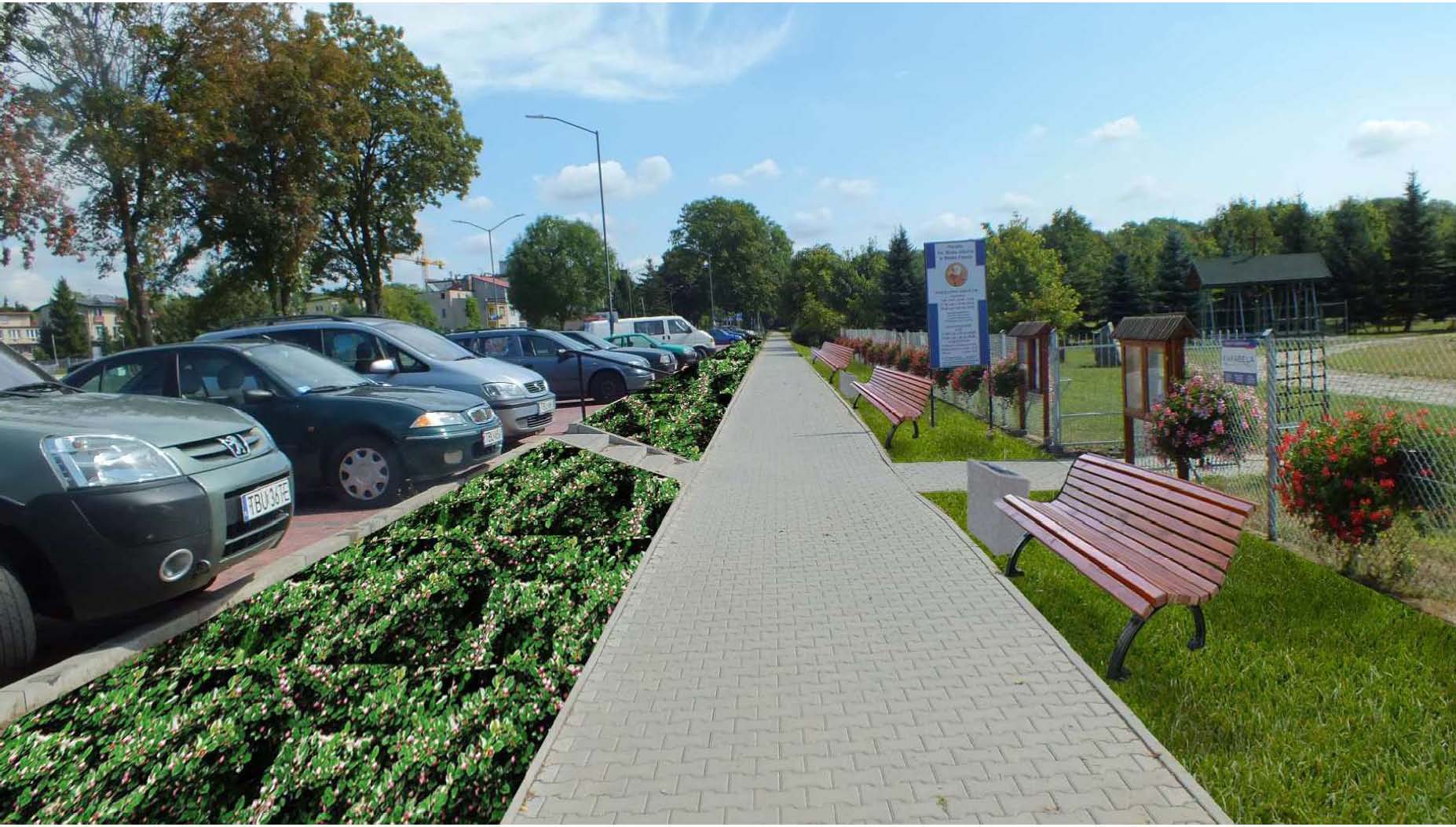 Więcej zieleni w mieście