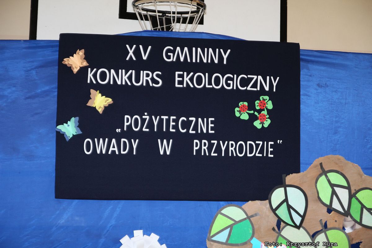 mt_gallery:Ekologia tematem prac plastycznych