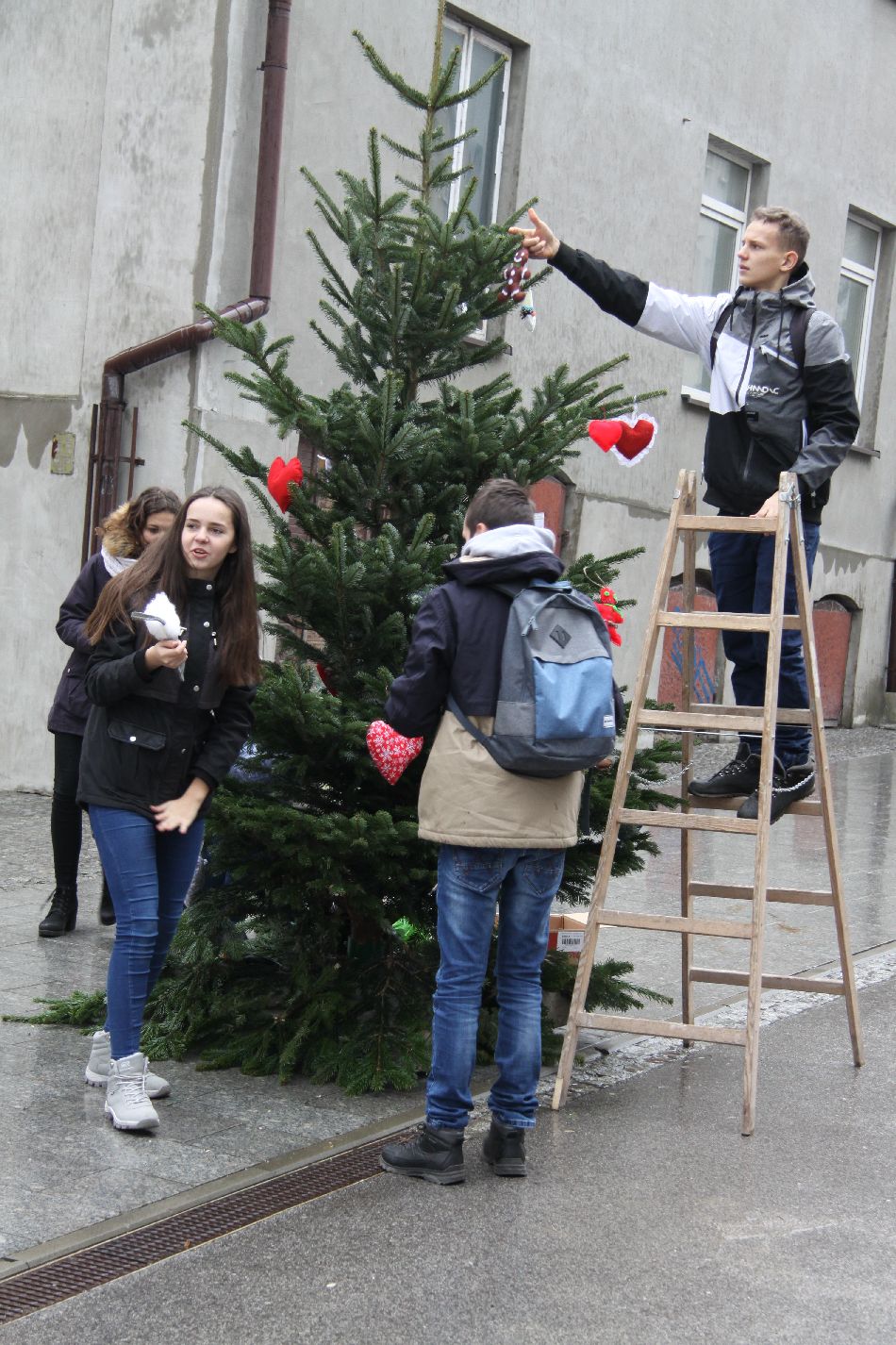 mt_gallery:Kolorowe choinki stanęły w centrum miasta