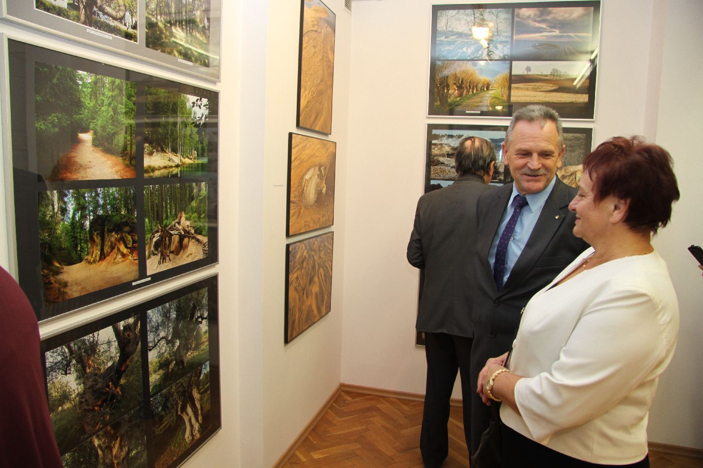 Buski przegląd fotografii