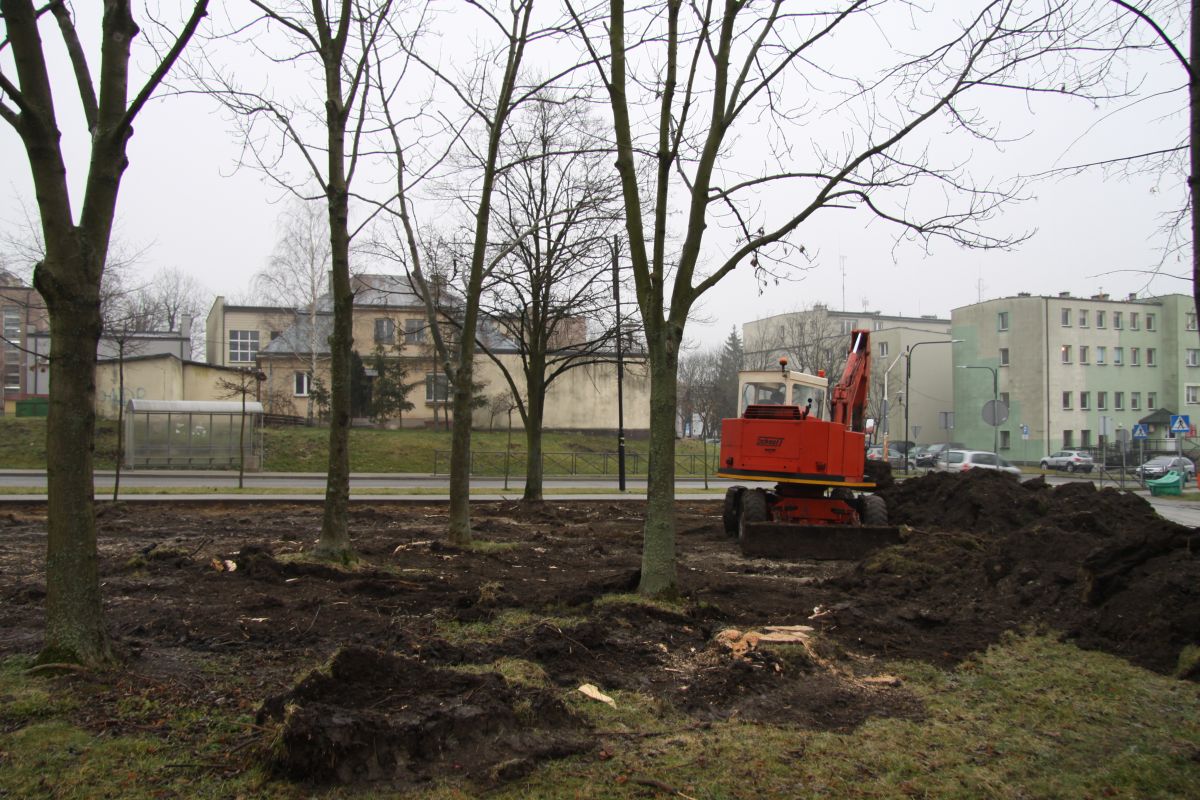 Nowa zieleń