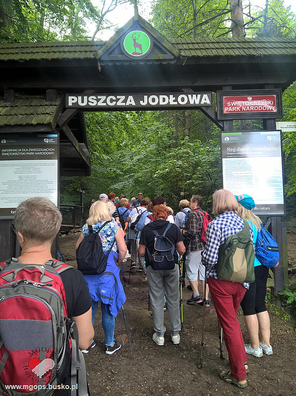 Seniorzy na Łysicy 