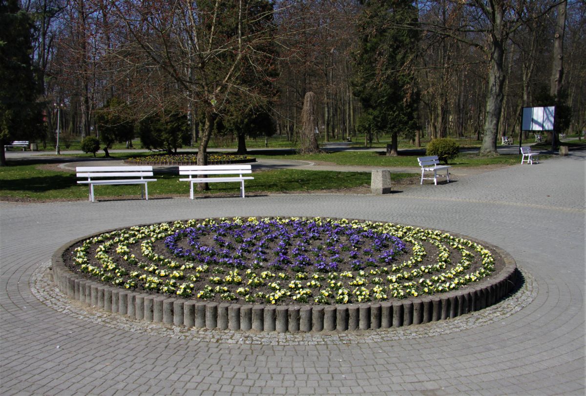 Kwitnące Busko