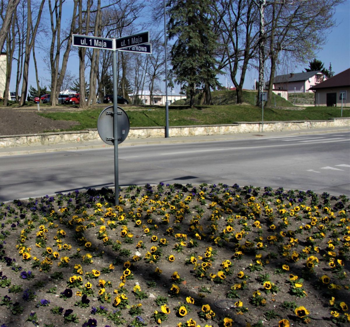 Kwitnące Busko