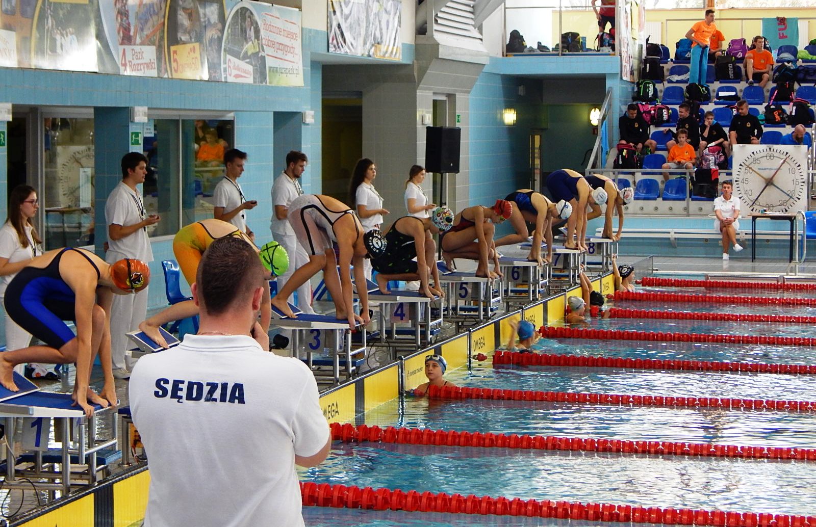 Finał XVIII Edycji Dużej Świętokrzyskiej Ligi Pływackiej