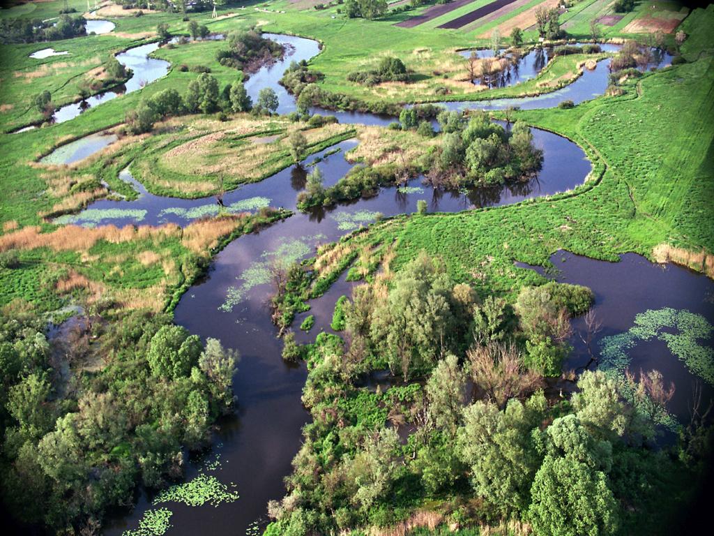 22 KWIECIEŃ 2020 ŚWIATOWY DZIEŃ ZIEMI 