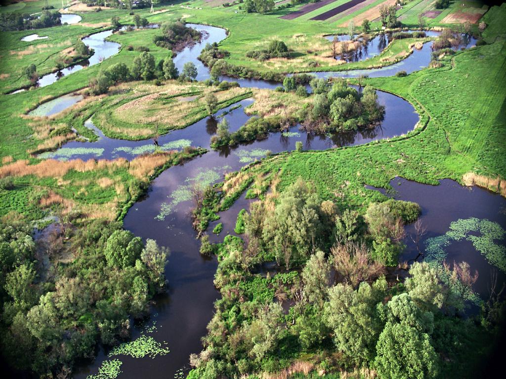 22 KWIECIEŃ 2020 ŚWIATOWY DZIEŃ ZIEMI 