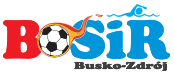 bosir logo