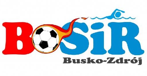 Logo BOSiR