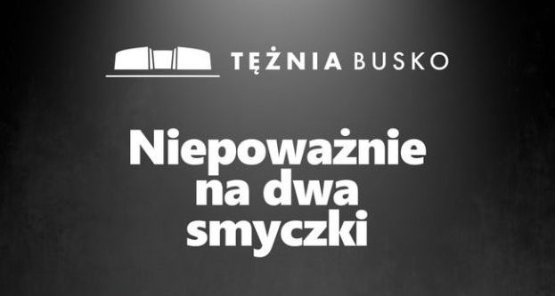 Grafika promująca koncert Niepoważnie na dwa smyczki