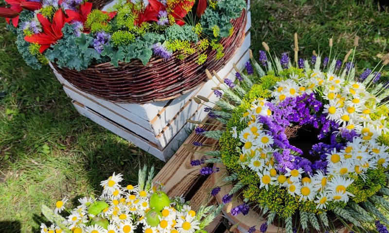 Na zdjęciu kwiaty z buskiego Festiwalu Kwiatów
