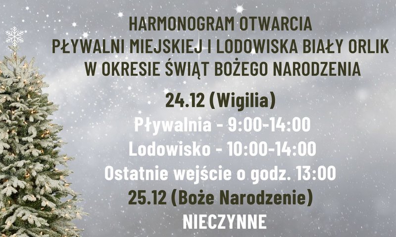 grafika przedstawiająca godziny otwarcia BOSIR