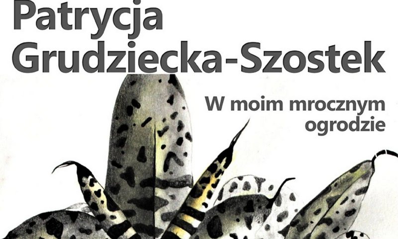 plakat promujący wystawę W moim mrocznym ogrodzie, przedstawia fragment jednej z prac artysty