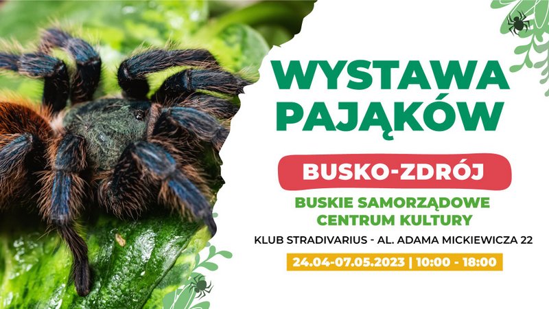 grafika promująca wystawę pająków, w tle zdjęcie pająka