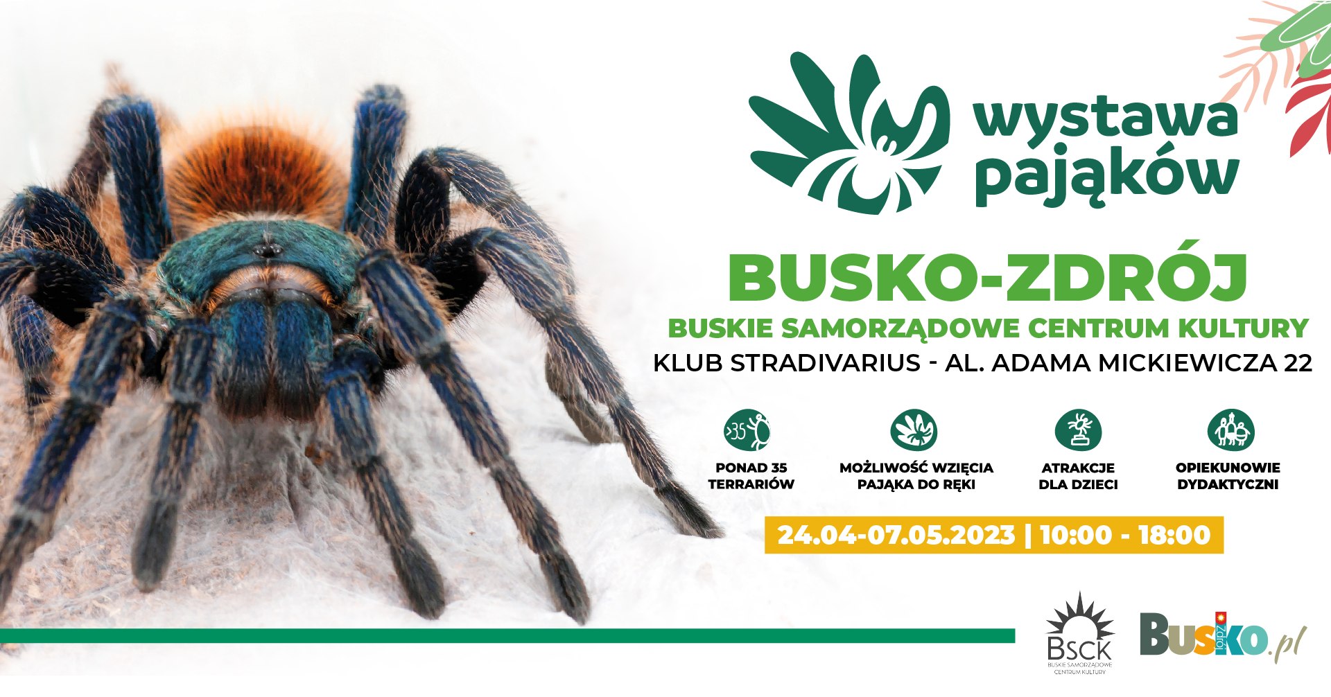 plakat promujący wystawę pająków