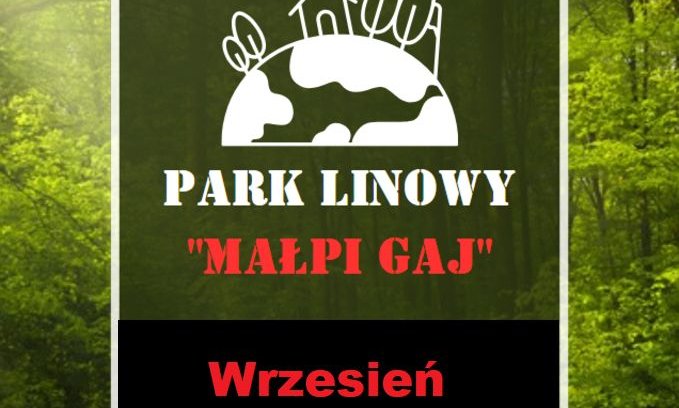 grafika informująca o godzinach pracy parku linowego