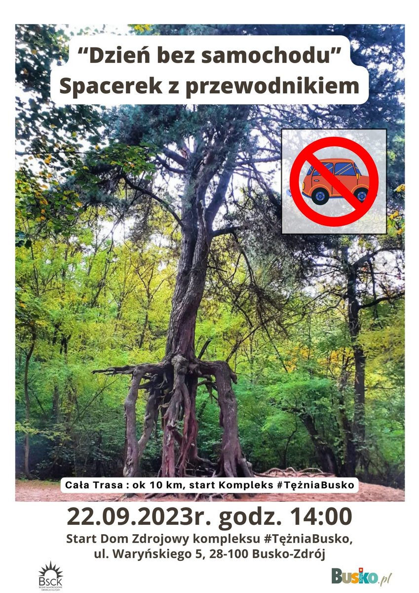 grafika promująca spacer z przewodnikiem w ramach dnia bez samochodu, w tle zdjęcie drzewa