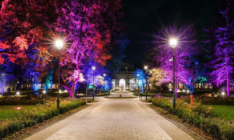 nocne iluminacje w parku zdrojowym w Busku-Zdroju