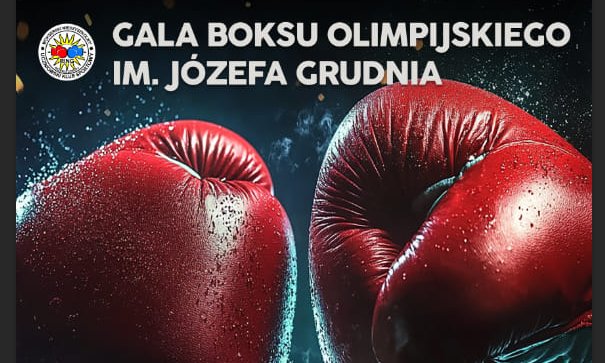 grafika promująca galę boksu, fotografia rękawic bokserskich