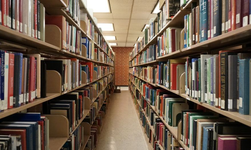 widok biblioteki, książki na regałach po obu stronach kadru