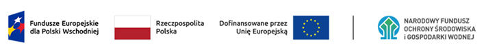 logo adaptacja