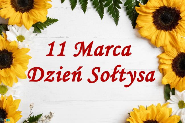 Dzień Sotysa - słoneczniki na drewnianym tle, czerwony napis 11 marca Dzień sołtysa
