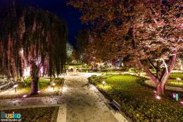 Busko światłem i dźwiękiem malowane