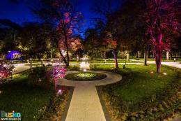 Busko światłem i dźwiękiem malowane