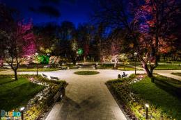 Busko światłem i dźwiękiem malowane