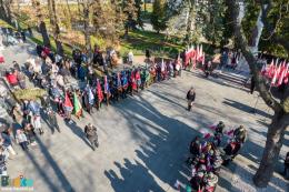 11listopaddron20of28