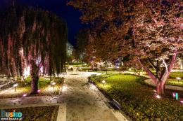 Park-jesienia-15-of-24