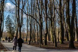 Zdjęcie przedstawia spacerujących po Buskim Parku Zdrojowym ludzi.