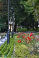 Zdjęcie przedstawia Park Zdrojowy po rewitalizacji