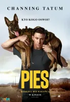 pies