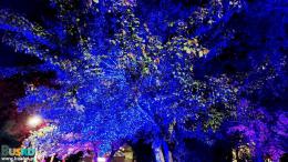 feeriabarwwbuskimparkuzdrojowym3