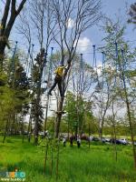 Park linowy Małpi Gaj w Busku-Zdroju - na zdjęciu jedna z przeszkód