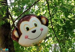 28560943019597639675271138016528691372551084n