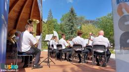 30111812820242842077417554234686258187560735n