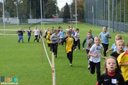 uczestnicy biegów przełajowych