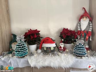 Zdjęcie przedstawia bożonarodzeniowe dekoracje m.in. od lewej krasnal w zielonej czapeczce, zielona choinka, czerwona gwiazda betlejemska w białej doniczce, drewniany domek w czerwonej czapeczce, mikołaja, czerwoną gwiazdę betlejemska w białej doniczce, z