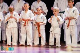 Pokaz Karate na scenie